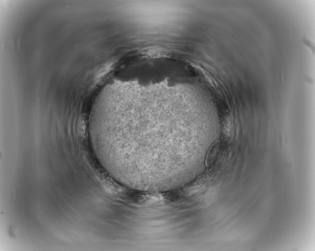 X0000095520715200712281500