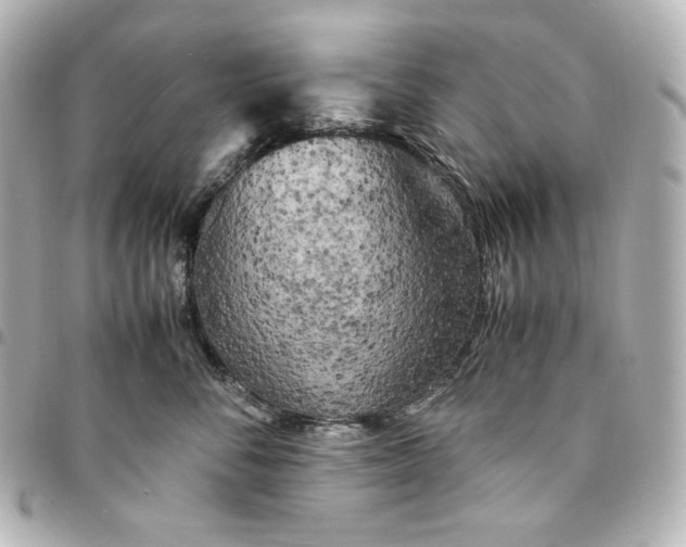 X0000095520716200712281500