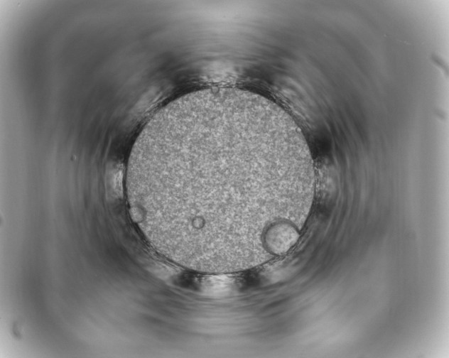 X0000095520717200712281500