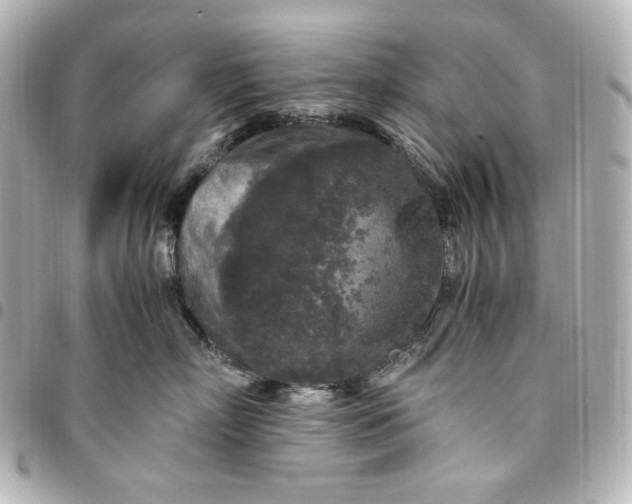 X0000095520718200712281500