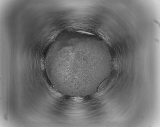 X0000095520719200712281500