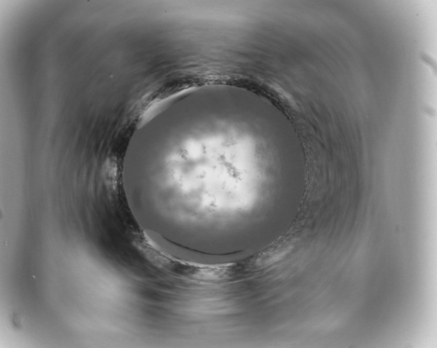 X0000095520720200712281500