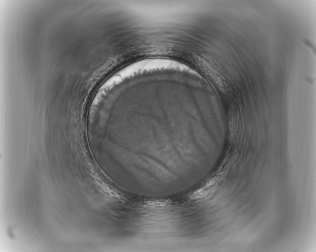 X0000095520721200712281459