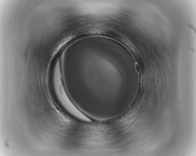 X0000095520722200712281459