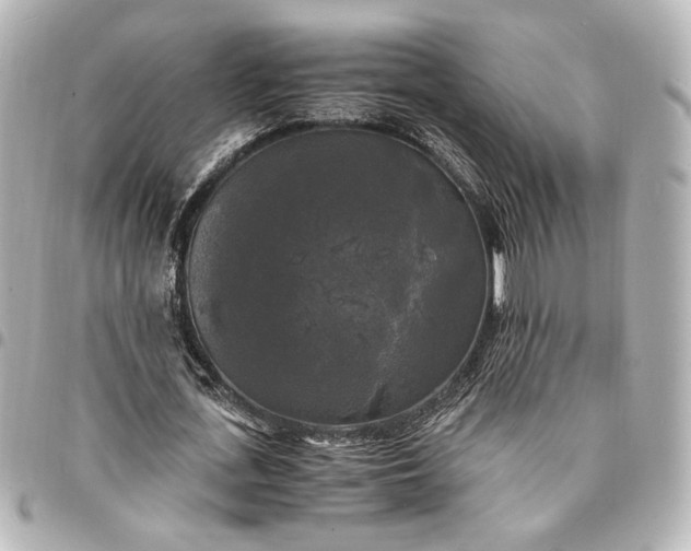 X0000095520723200712281459