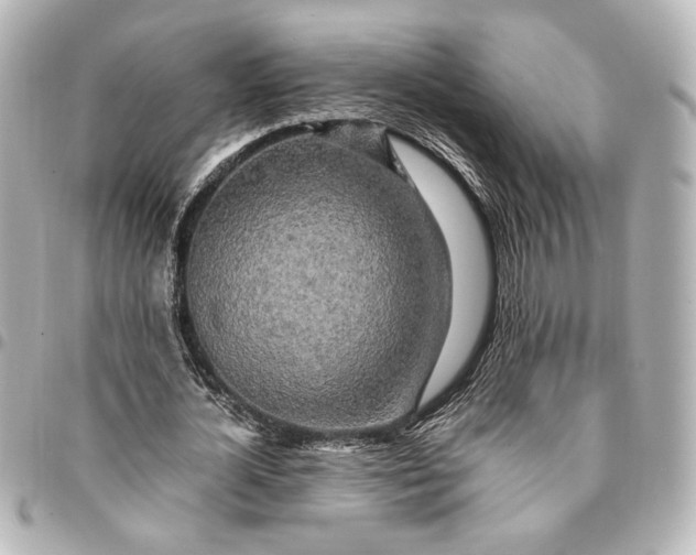 X0000095520724200712281459