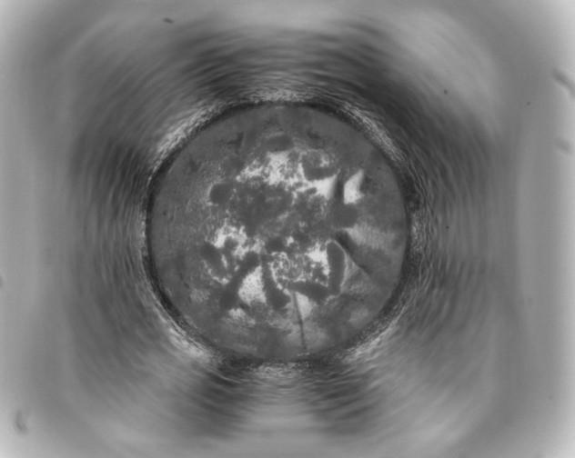 X0000095520725200712281459