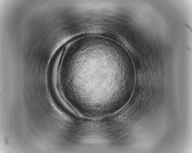 X0000095520726200712281459