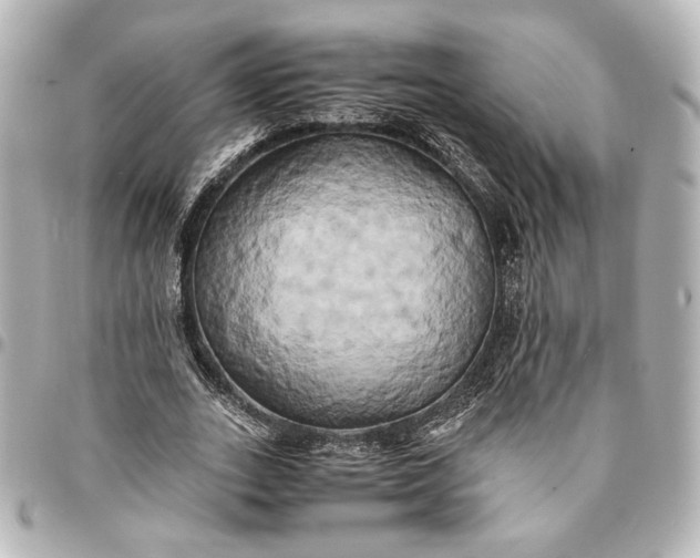 X0000095520727200712281459