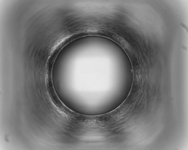 X0000095520728200712281459