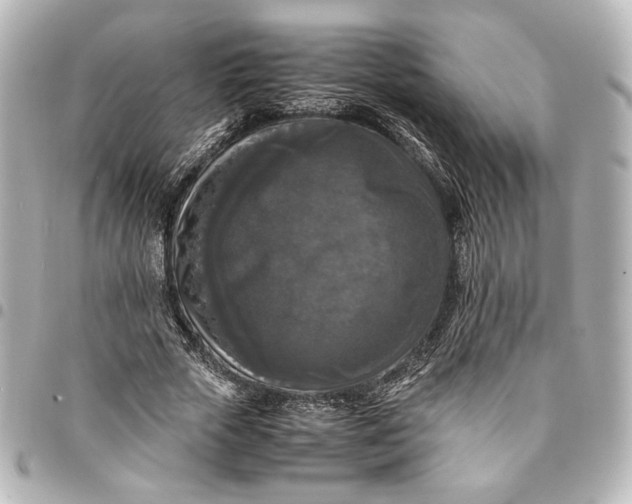 X0000095520729200712281459