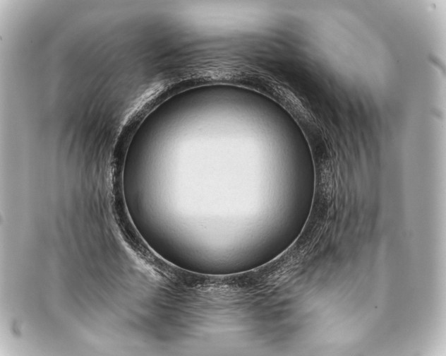 X0000095520730200712281459