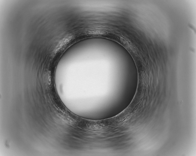 X0000095520731200712281459