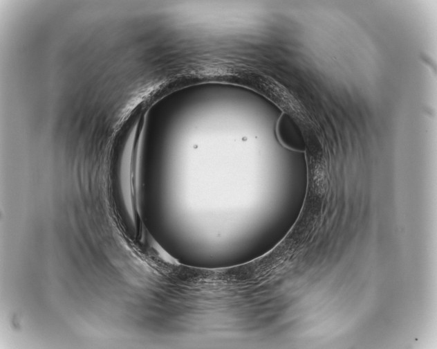 X0000095520732200712281459