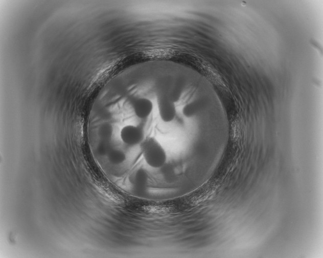 X0000095520733200712281459