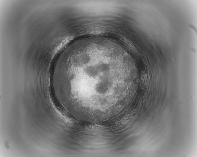 X0000095520734200712281459