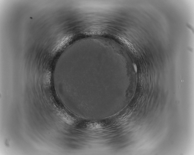 X0000095520735200712281459