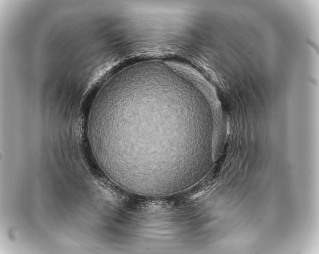 X0000095520736200712281459