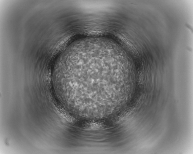 X0000095520737200712281459