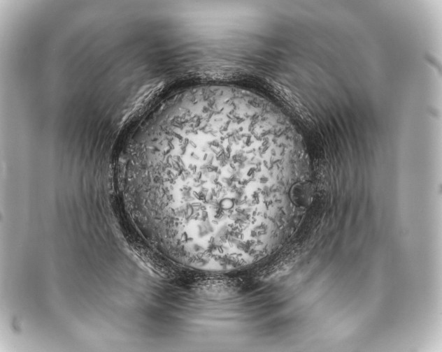 X0000095520738200712281459