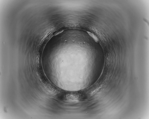 X0000095520739200712281459