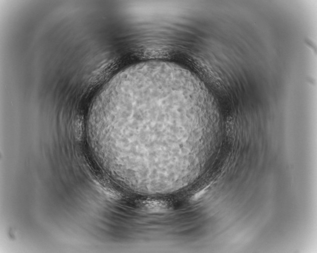 X0000095520741200712281459