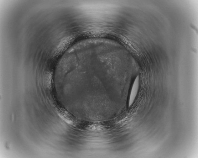 X0000095520742200712281459