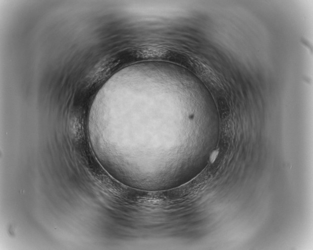 X0000095520743200712281459