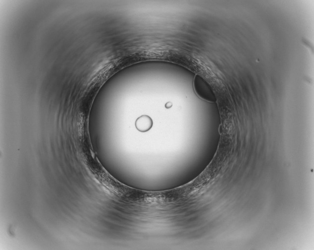 X0000095520744200712281459