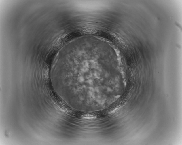 X0000095520745200712281459