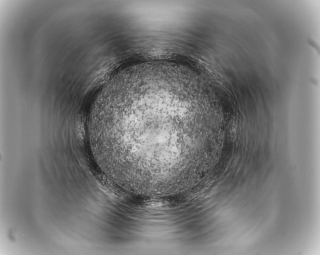 X0000095520746200712281459