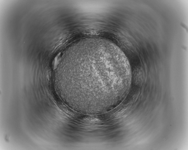 X0000095520747200712281500