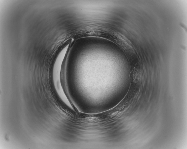 X0000095520748200712281500