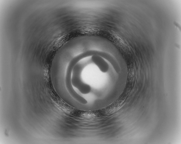 X0000095520749200712281500