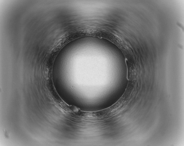 X0000095520750200712281500