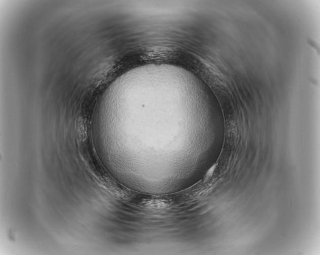 X0000095520751200712281500