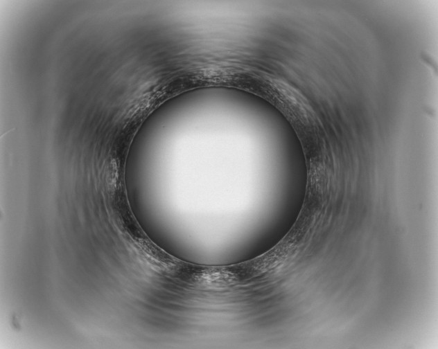 X0000095520752200712281500