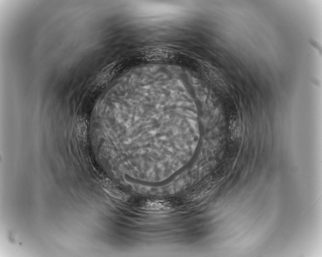 X0000095520753200712281500