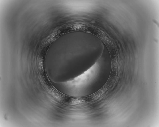 X0000095520754200712281500