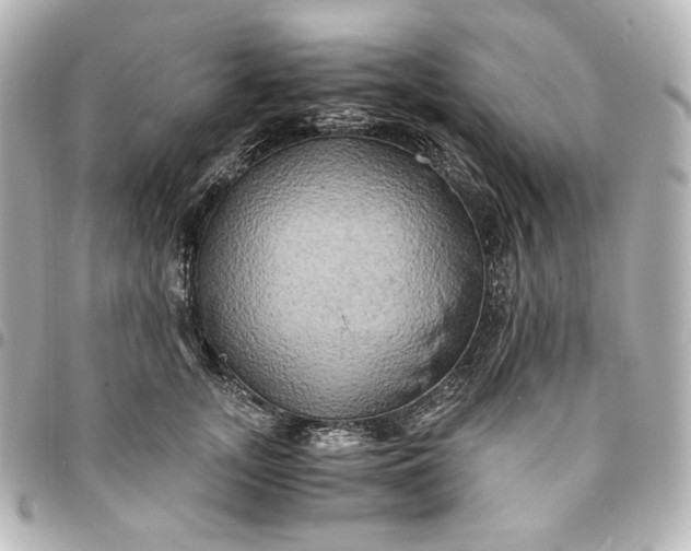 X0000095520755200712281500