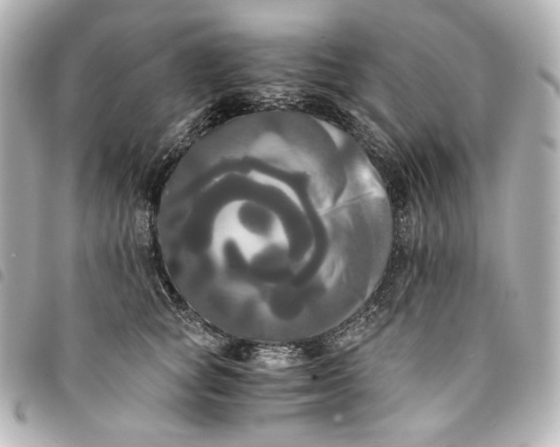 X0000095520757200712281500