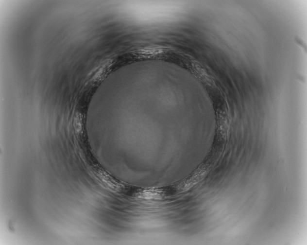 X0000095520758200712281500