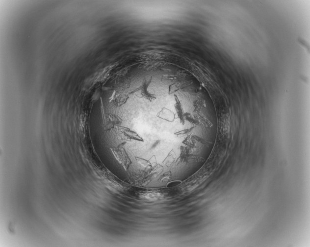 X0000095520759200712281500