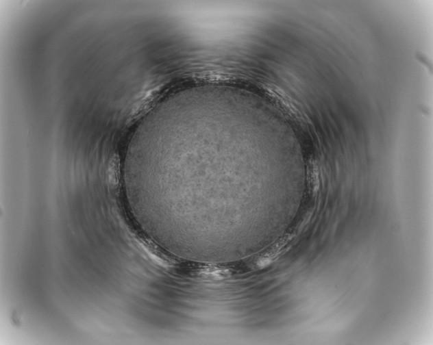 X0000095520760200712281500