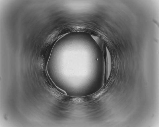 X0000095520762200712281500