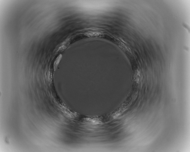 X0000095520763200712281500