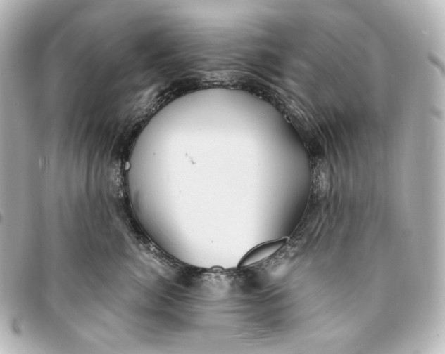 X0000095520764200712281500