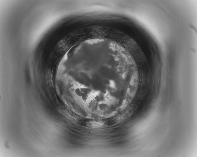 X0000095520765200712281500