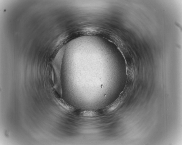 X0000095520766200712281500