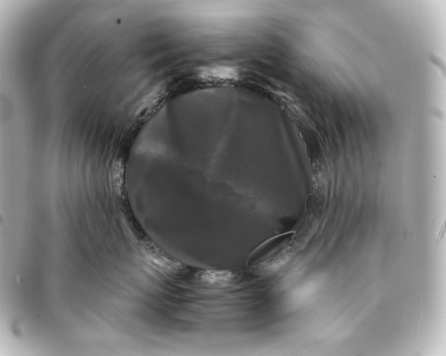 X0000095520767200712281500